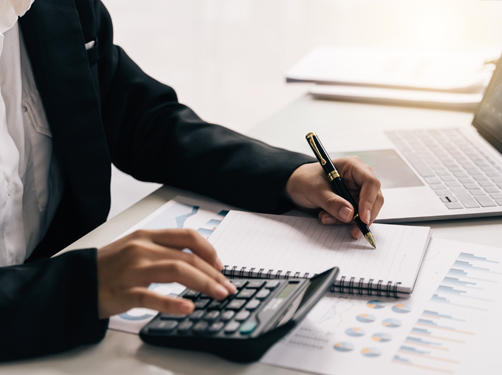 Public Accountant